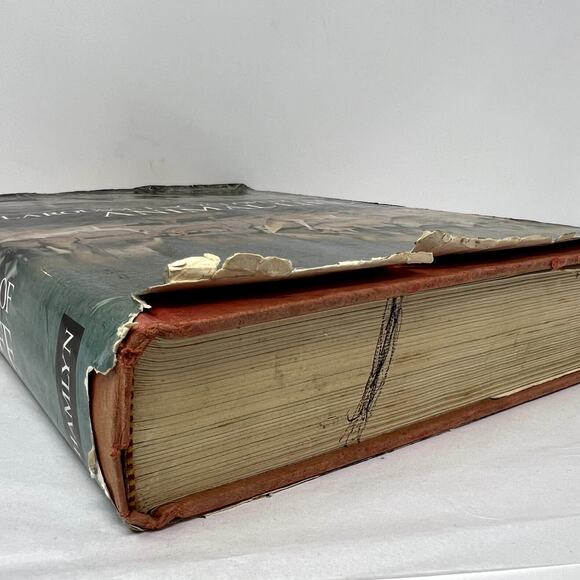 Larousse Encyclopedia of Animal Life - 1967 Paul Hamlyn Limited hard Cover VTG - Picture 10 of 13